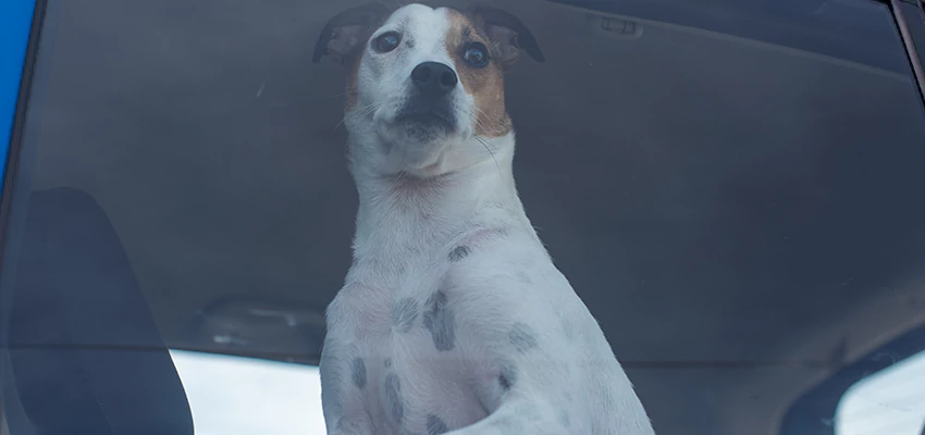 Car Lockout Solutions in El Sobrante, California